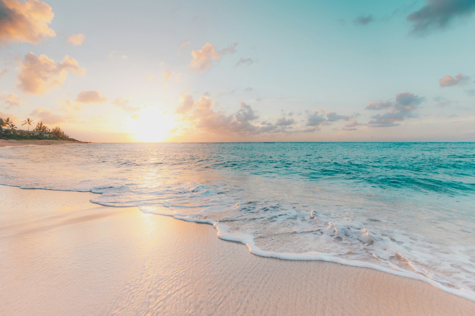 Private Island Beach Club Buyout