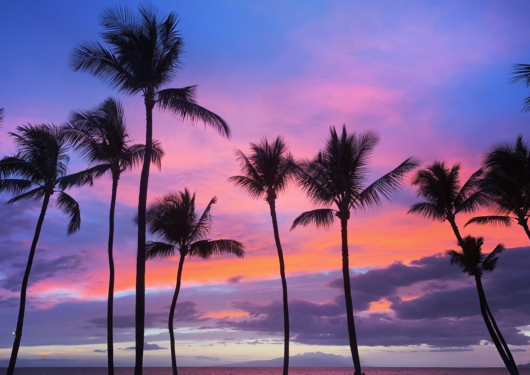Maui Corporate Incentive Travel Wailea Resorts